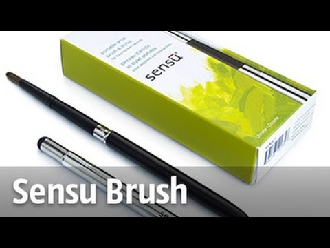 Sensu Brush - обзор