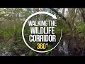 Walking the Florida Wildlife Corridor with Carlton Ward Jr | 360°