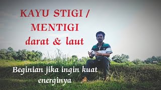 Stigi Darat vs. Stigi Laut Wood: Metaphysical Pros and Cons