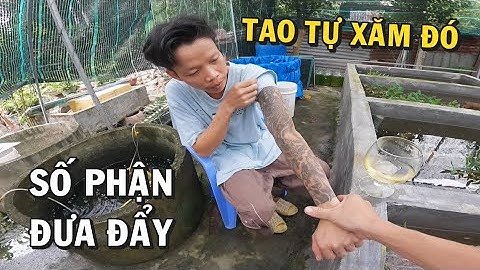 Góc tâm sự - Số phận đưa đẩy tao trở thành Ông Chủ Trại Cá Betta