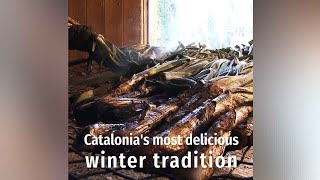 Calçots and the calçotada: Catalonia's most delicious winter tradition