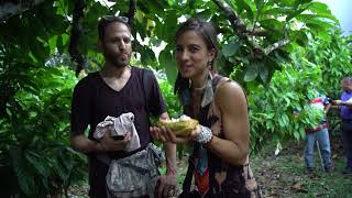 Cacao Lab Origins, Episode 3: Searching for Heirloom Ceremonial Cacao and  the Women of AMATIF