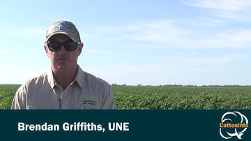 Managing soil phosphorus