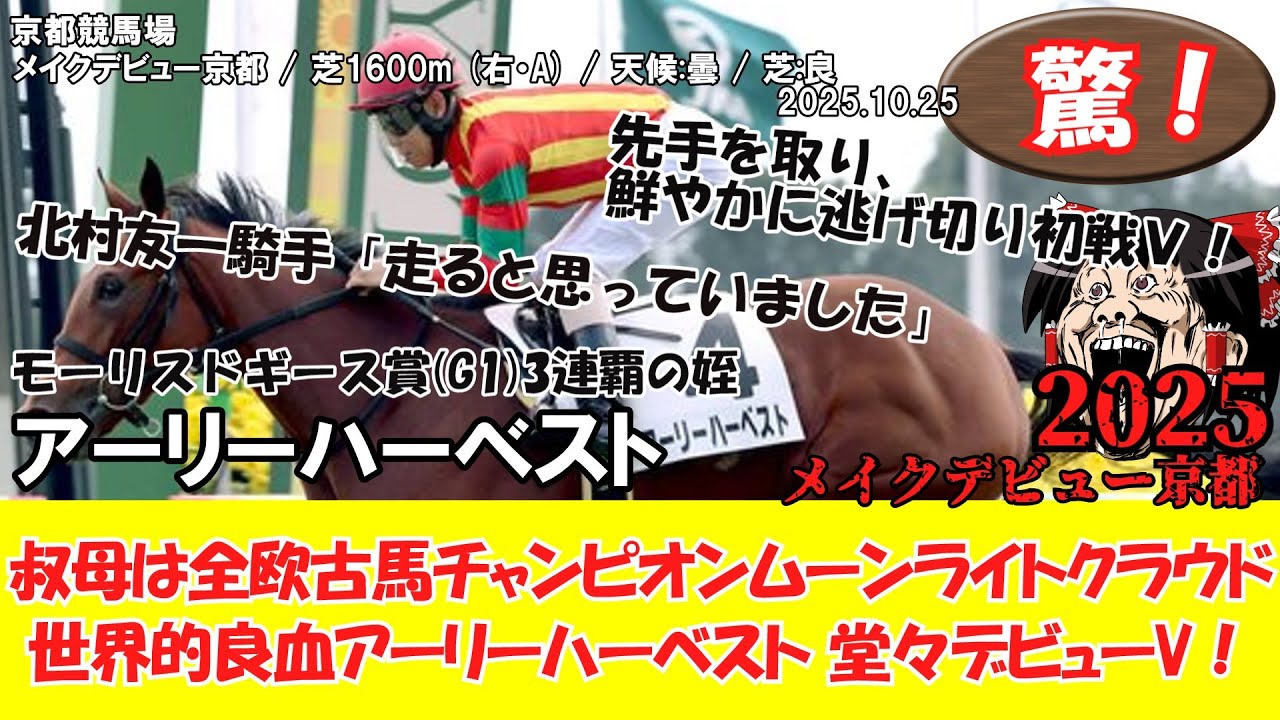 希少【メイショウタバル】メイクデビュー 単勝券 100円 2023年京都競馬 シャドウマスター メイクデビュー京都 現地的中単勝馬券 記念馬券