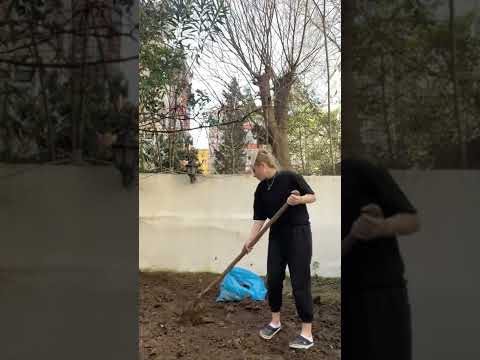 Video: Bahçe Temizliği: Kış İçin Bahçeyi Temizlemenin İpuçları