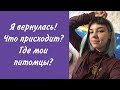 ВОЗВРАЩЕНИЕ НА ЮТУБ: ЧТО ИЗМЕНИЛОСЬ?