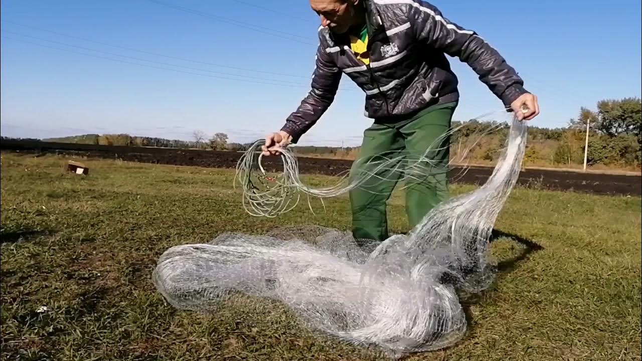 Рыбалка кастинговой сетью сибирского странника. Рыбалка сетями в сибири. Кастинговая сеть сибирь. Сибирский странник кастинговая сеть. Рыбалка сетями в сибири.