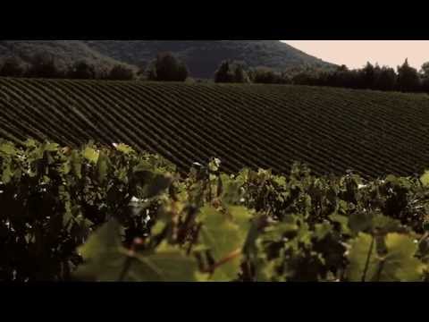 Video: Tuscany Winery of Barone Ricasoli och Brolio Castle