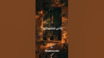 قالوا يا موسى انا لن ندخلها ابدا ما داموا فيها فاذهب انت وربك ... الشيخ سيد سعيد قرآن كريم بصوت 😍