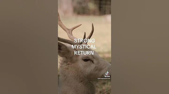 Deer Lord 🌿🦌 #hunting #wildlife #cooking #foryou #hunter #jagd #kochen #new #viral #wildboar