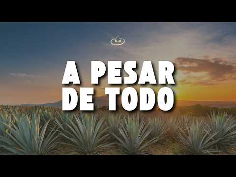 Vicente Fernández - A Pesar de Todo - En Vivo [Un Azteca en el Azteca] (Letra/Lyrics)