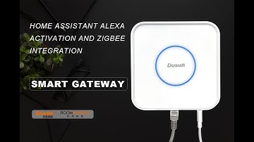 DSGW-210-HA Gateway Home Assistant Alexa activation and ZigBee Integration