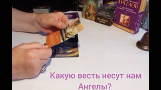 Какую весть хотят донести Ангелы? #отношения #любовьксебе #работа #осознаниесебя