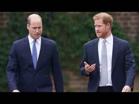 Vídeo: Príncipe Harry Confirma Problemas Com Seu Irmão William