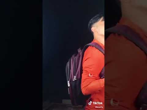 قلبى لم شفة ولع بس حلف له يرجع