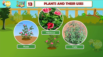 PLANTS AND THEIR USES || CHAPTER 13 || CLASS 2|| EVS || FREE ONLINE LEARNING CLASS