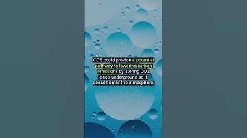 The Future of Carbon Capture