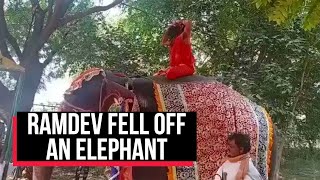Watch Baba Ramdev Does Yoga On Elephant, Falls Off, No Injuries Cobrapost