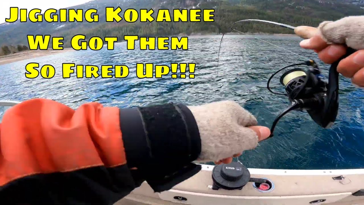 Jigging Kokanee - We Got Them So Fired Up!!! 