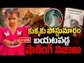 #live : కుక్కకు పోస్టుమార్టం..| Kakinada Jahnavi Missing Case Latest Updates | #idream