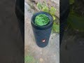 Jbl Bass Test #speaker