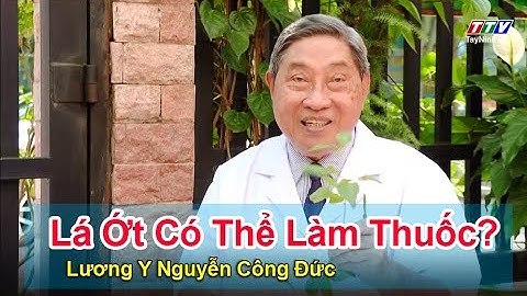 LÁ ỚT CÓ THỂ LÀM THUỐC? - Lương Y Nguyễn Công Đức