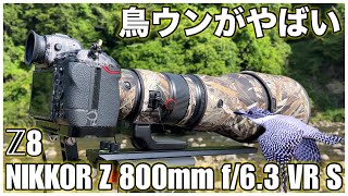 【野鳥撮影】ヤマセミ撮影での鳥ウンがやばかった  Z8 × NIKKOR Z 800mm f/6.3 VR S