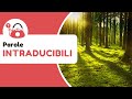 Incredibile: 4 parole giapponesi INTRADUCIBILI
