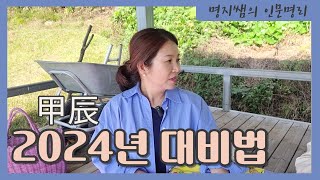 [명지쌤의 명리 인문학] 갑진년 걱정마세요 | 2024년 대비법