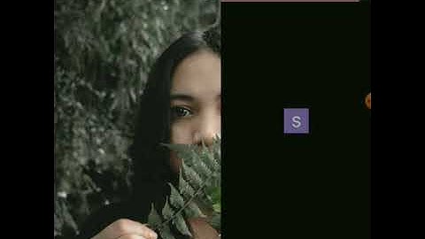 [+]Deface Bypass Admin Login + Upload shell[+]