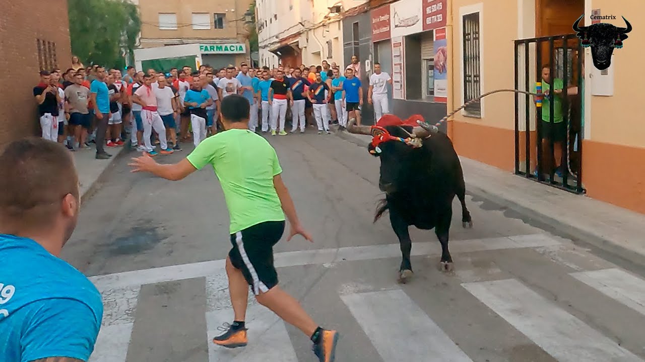 Toríco de la cuerda, Chiva 2023  4K.   1ª Parte