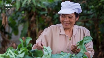 NAP-Ag MOOC - Week 6 Part 2 - Communications on Climate Change Adaptation