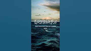 وما يستوي البحران هذا عذب فرات سائغ شرابه #القرآن_الكريم #سورة_فاطر #ماهر_المعيقلي