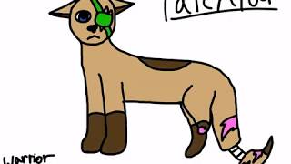 PatchFur (my warrior cats OC)