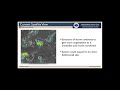 NWS Atlanta - Special Weather Briefing Regarding Hurricane Dorian - August 29th at 12:30 PM