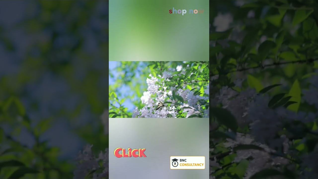 PROCUS Viper 16MP 4K HD Digital Action camera