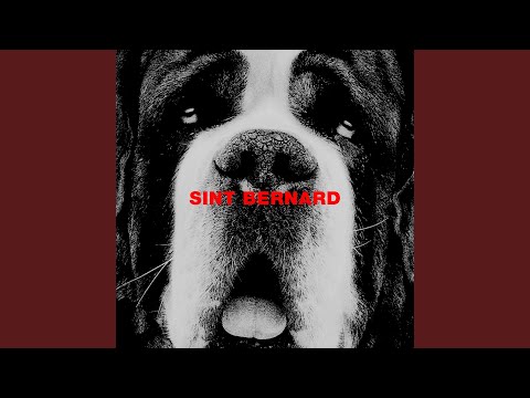 Sint Bernard