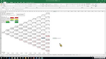 Options 42. Introduction to Binomial Trees-10: 二項樹評價軟體 (recorded on 20181126)