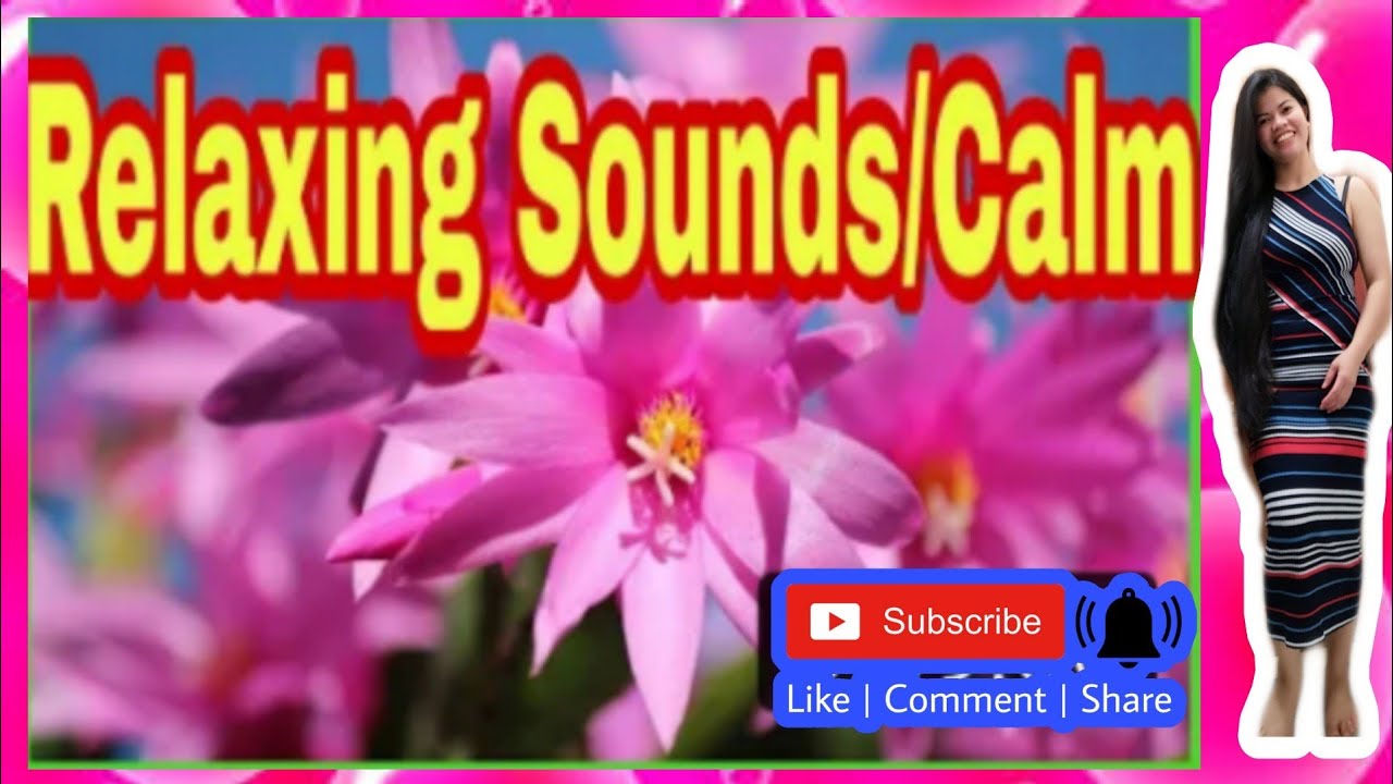 Calming music/stress relief/ relaxing sounds/fall asleep fast
