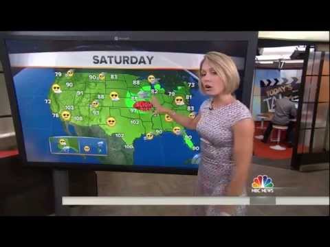 Dylan Dreyer - tight silver dress and high heels - August 14, 2014