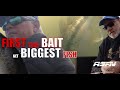 First time bait catches biggest fish - Albert Falls @ASFN Fishing #fishing