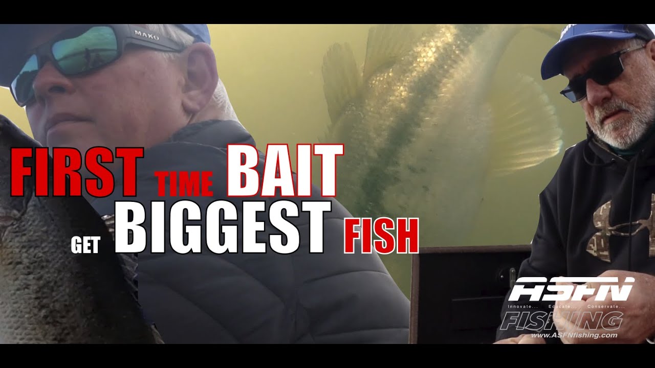 First time bait catches biggest fish Albert Falls ⁠ ASFN Bass YouTube