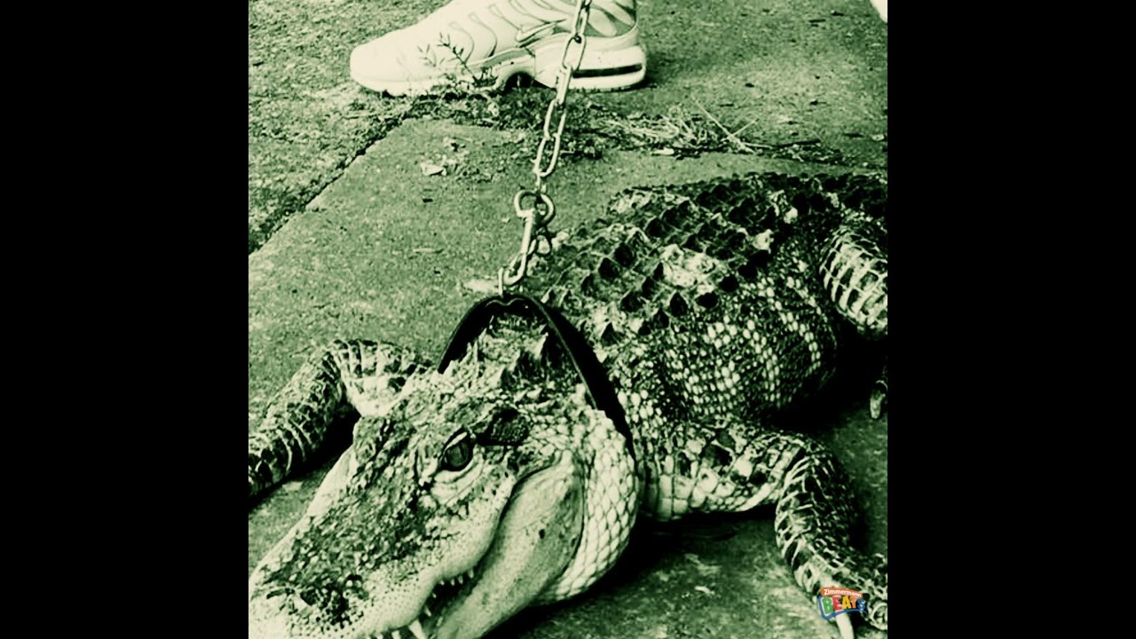 [FREE] 21 Savage x Three 6 Mafia Type Beat - 