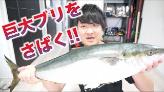巨大ブリを低速でさばいて食べようゾ！！