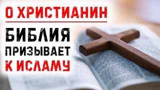 Обращение к христианам: Ведь в Библии нет веры в «трех богов»! | Время покаяния