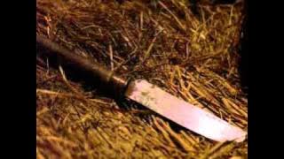 fighter in the wind- training scene