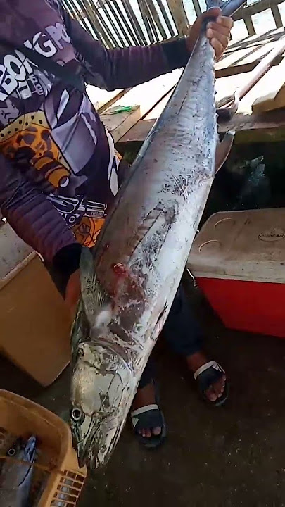 #tanigue  fish #asmr #satisfying #shorts #fish
