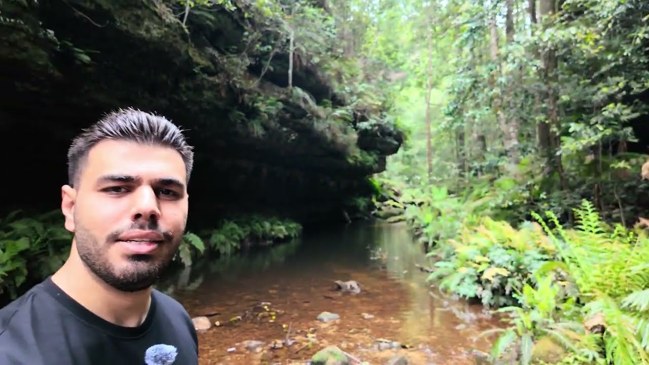 دخلت غابة كأنها من فيلم خيال 🇦🇺استراليا🌳