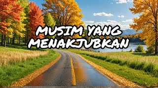 Musim Gugur vs Musim Panas di Amerika Mengapa Musimnya Sangat Berbeda