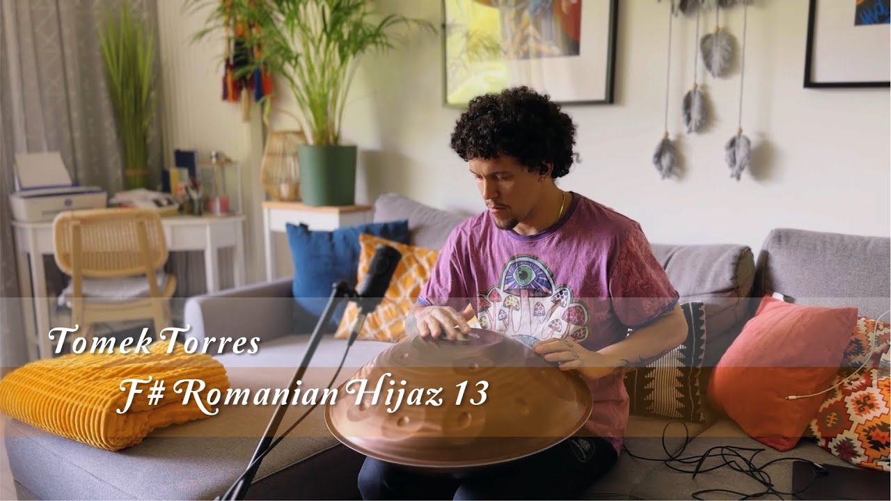 MrPans handpan - F# Romanian Hijaz 13 - Tomek Torres